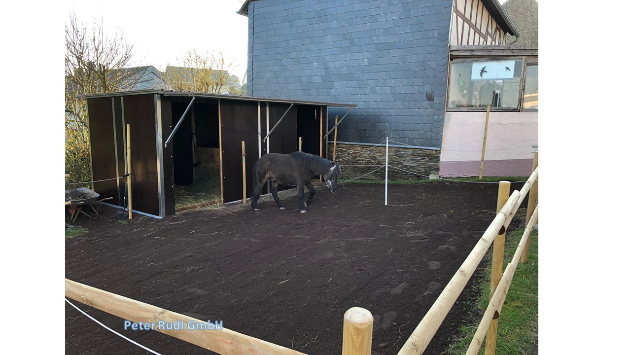 Doppel Pferdebox Aussen